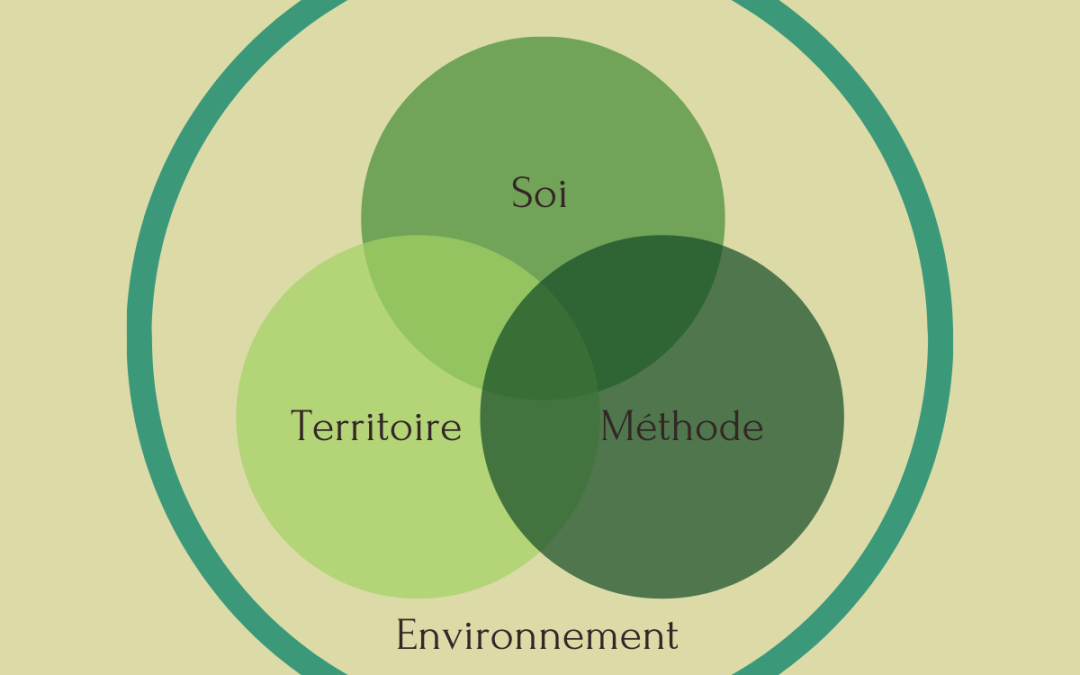 les 4 dimensions du trèfle chanceux